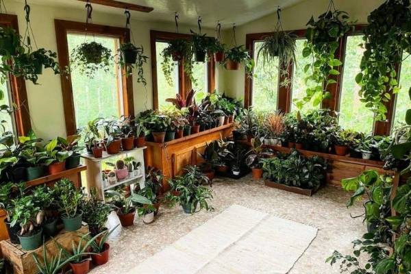 Creating a hanging garden is an excellent way to upgrade your space