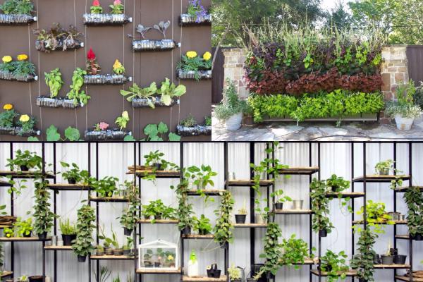 Indoor Vertical Garden Plants