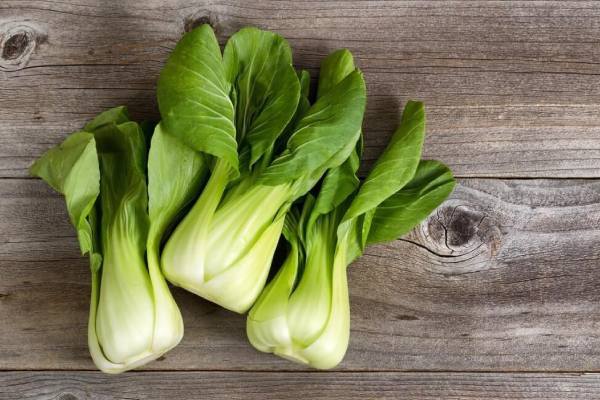 Nutrient-Rich Chinese Cabbage