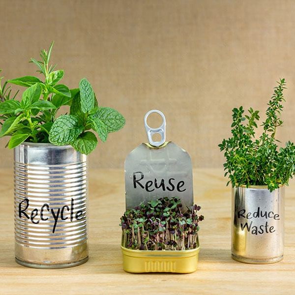 Re-use and Re-Purpose Container