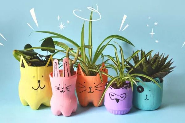 Use Plant Containers Made From Recycled Materials