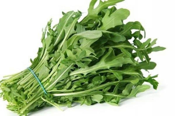 Arugula