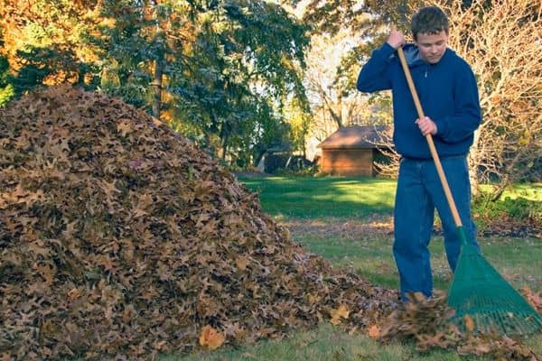 Leave Yard Debris