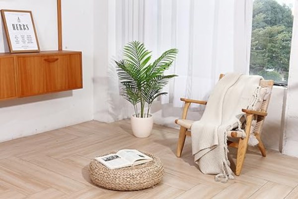 Parlor Palms purifies and humidifies air while making a more creative and relaxed living environment