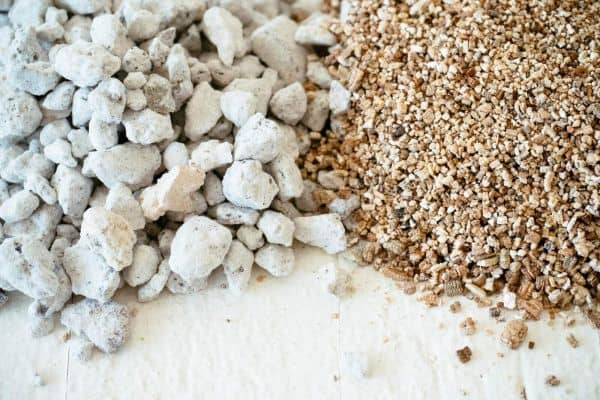 Perlite vs Vermiculite - All You Need To Know
