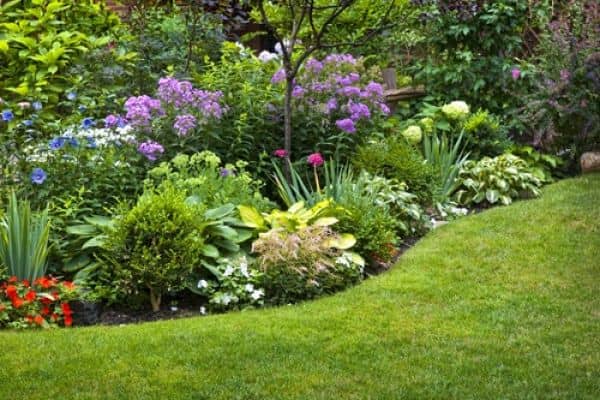Select Plants That Provide Year-Round Color