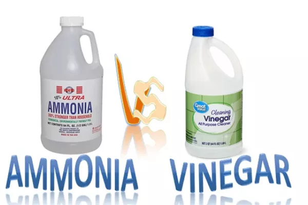 Ammonia and Vinegar