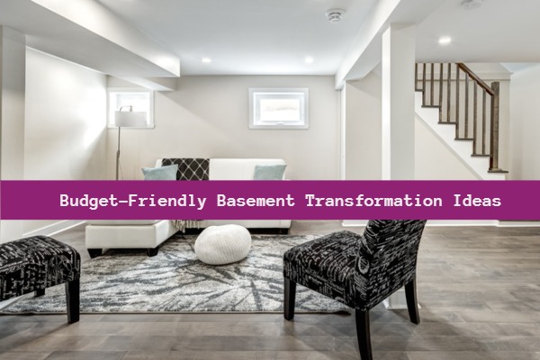 Basement Transformation Ideas