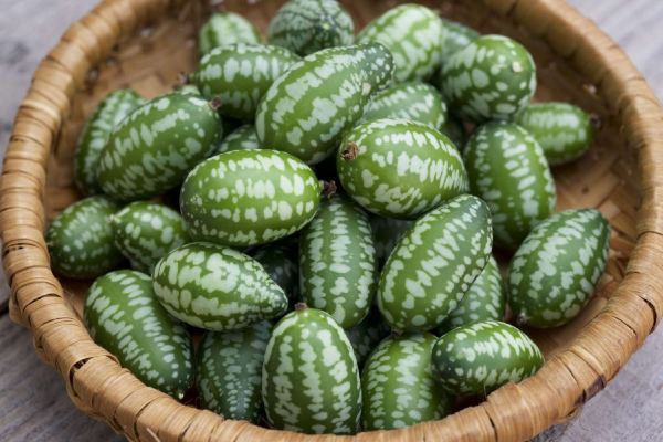 Cucamelon