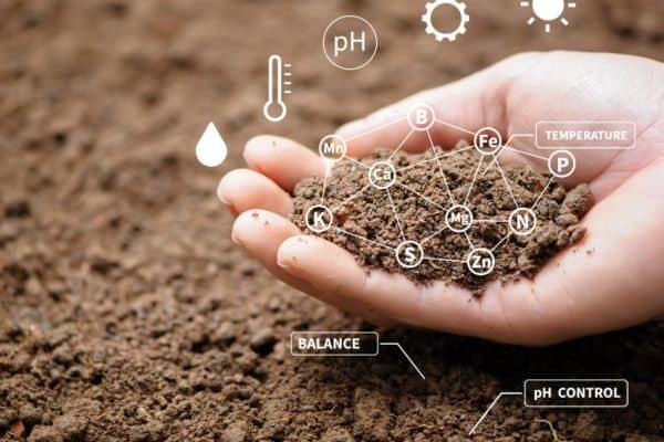 Improve Your Soil Quality
