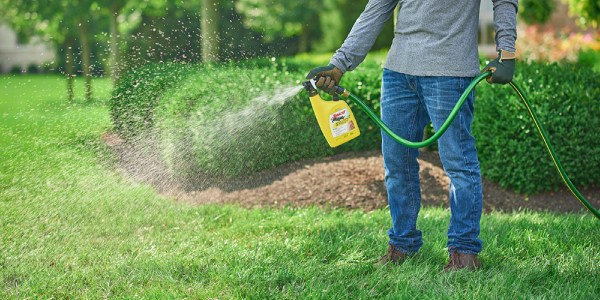 There are some methods of gopher control like trapping or poisoning, specifically made for gophers