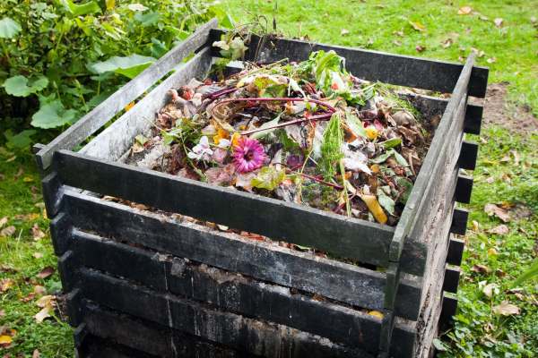 compost manure